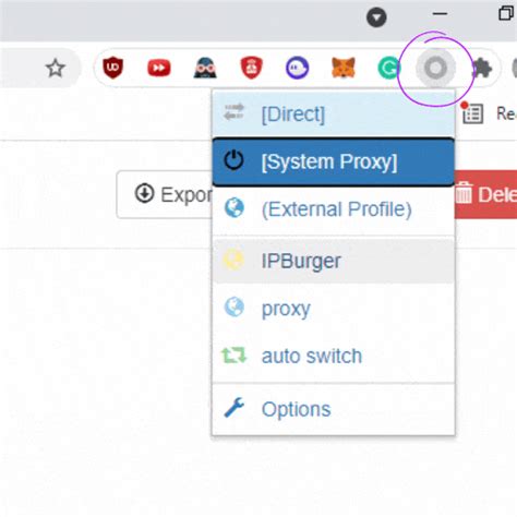 proxy switchyomega|Proxy SwitchyOmega in 5 Minutes or Less .